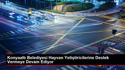 Konyaaltı Belediyesi Hayvan Yetiştiricilerine Destek Vermeye Devam Ediyor