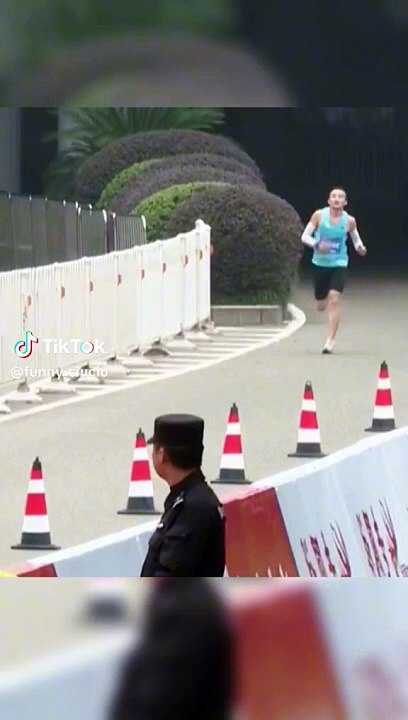 Gatito irrumpe en maratón y gana en llegar a la meta: "Michi campeón"