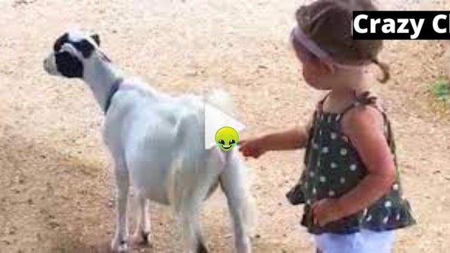 Videos De Risa 2023 Nuevos - Bebes Graciosos - Momentos Divertido Bebes en el zoológico - Funny Videos