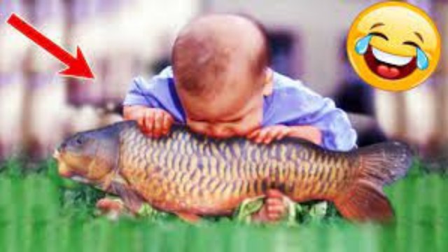 Momentos Divertidos y Fallidos de Bebés en La Playa - Mejores Videos de Risa