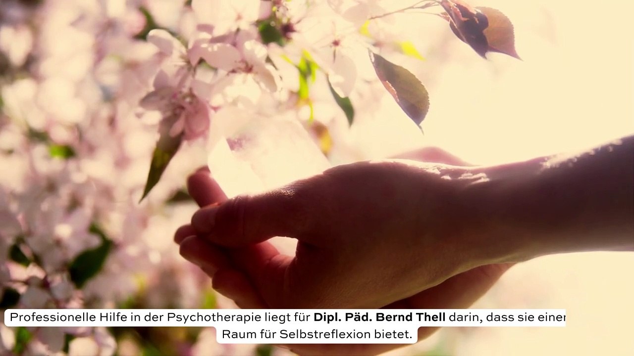 Dipl. Päd. Bernd Thell Wirksame Ansätze in der Psychotherapie