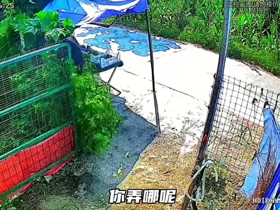 Compilation moments funny in life