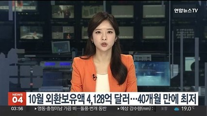 10월 외환보유액 4,128억달러…40개월 만에 최저