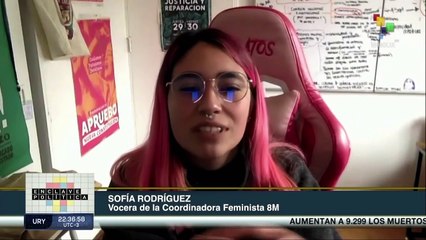 Sofía Rodríguez: Una nueva constitución no beneficia necesariamente a las grandes mayorías