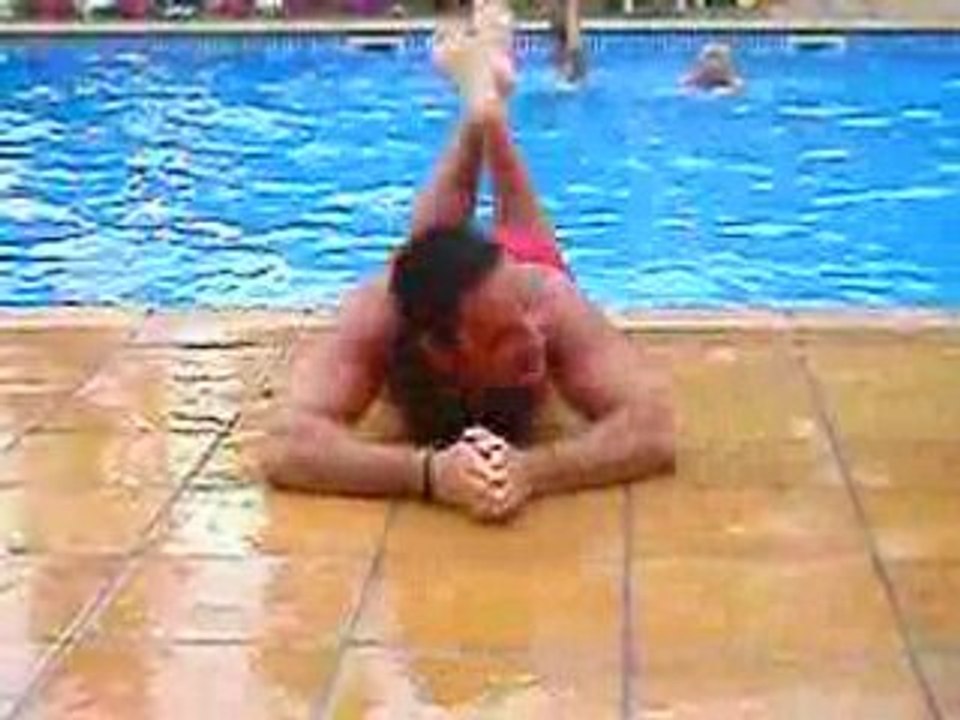 Pino le foque