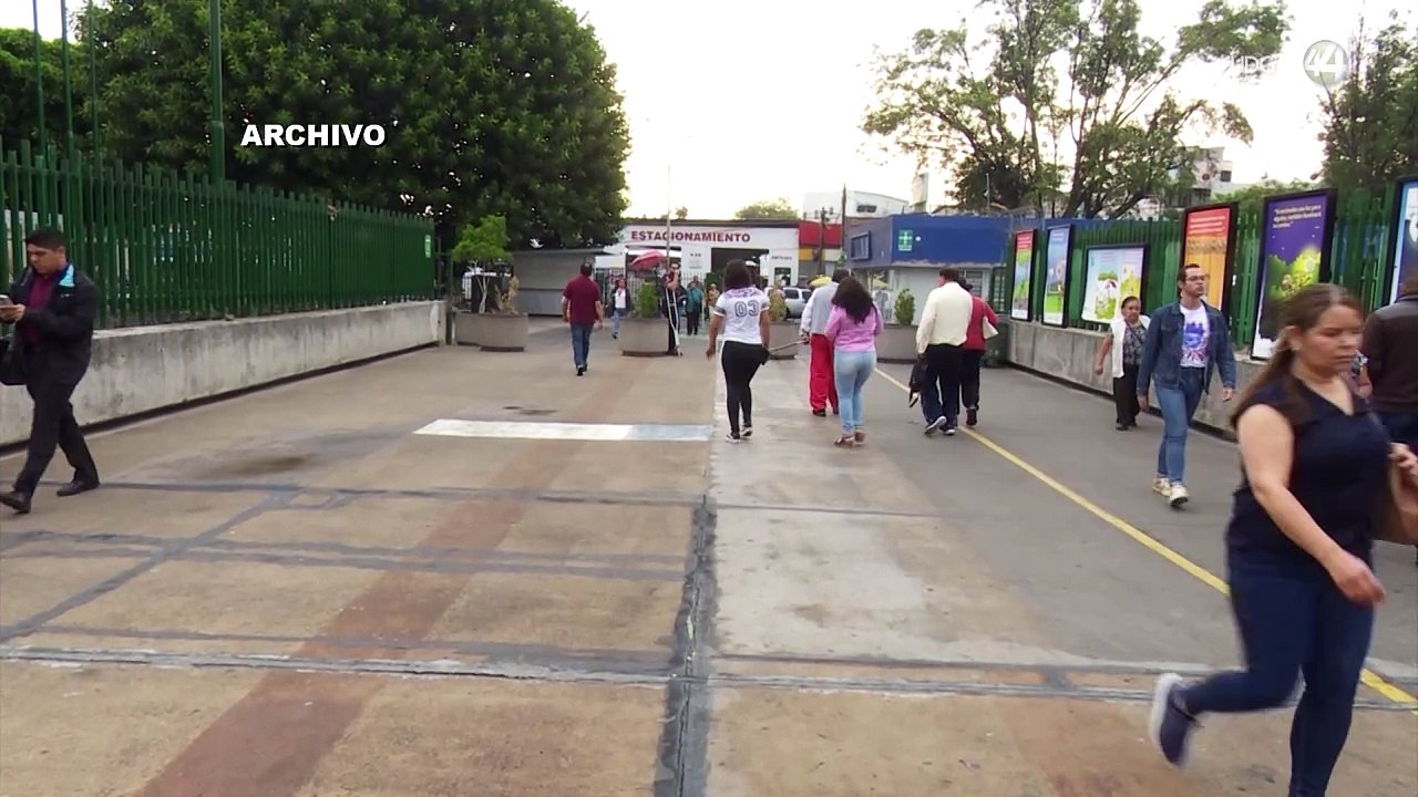 Rebasa los 500 casos de dengue en Jalisco, reporta la Secretaría de Salud