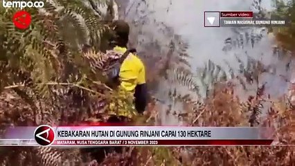 Download Video: Kebakaran di Gunung Rinjani Meluas Hingga 130 Hektare