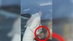Dilan Polat'ın kardeşi Sıla Doğu, polisin taktığı plastik kelepçeyi böyle kopardı