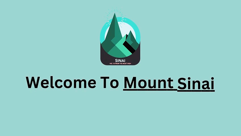 MOUNT SINAI CUSTOM T-SHIRTS
