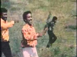 Varusham 16 - Palamuthir Solai