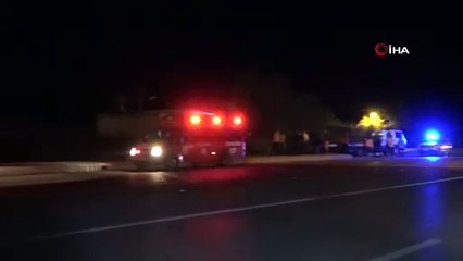 Yola çıkan köpekler ardı ardına iki kazaya neden oldu: 1 ölü, 2 yaralı