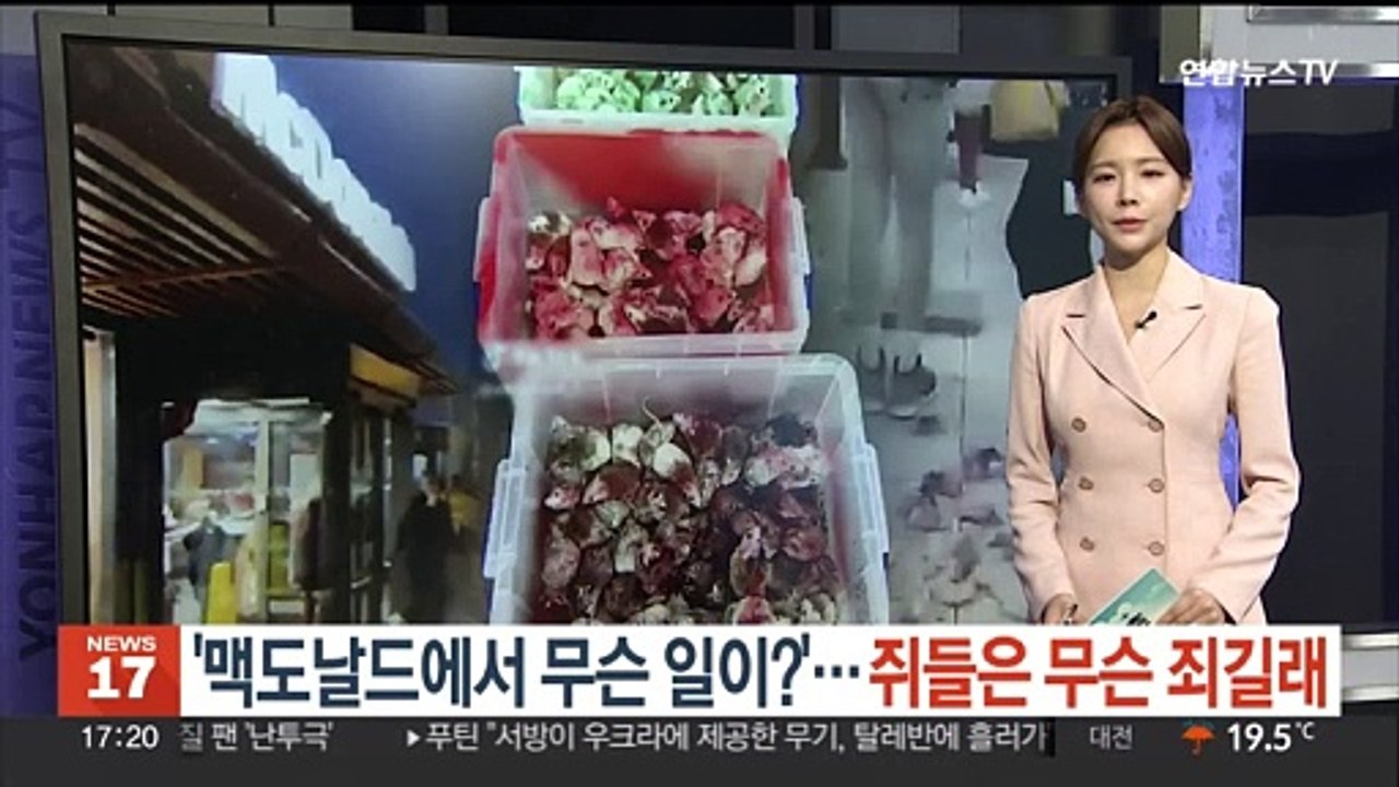 [지구촌톡톡] '맥도날드에서 무슨 일이?'…쥐들은 무슨 죄길래 外