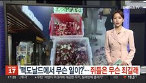 [헤이!월드] '맥도날드에서 무슨 일이?'…쥐들은 무슨 죄길래 外