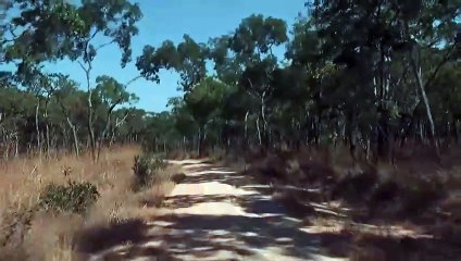 Banguela wetlands - 	Lake bangweulu