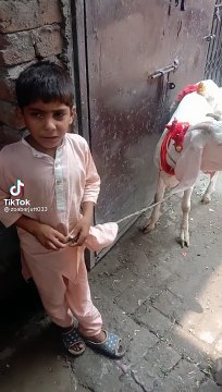 Hilarious Pakistani Politics: When Kids Take Charge, Get ready for a good laugh with this funny Pakistani political satire! Watch as kids take on the roles of politicians, making witty remarks and amusing gestures that will leave you in splits. It's all i