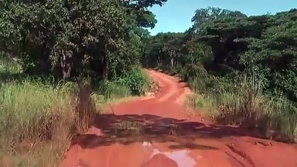 Lake Tanganyika Tanzania