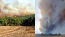 Çanakkale Gelibolu'da orman yangını