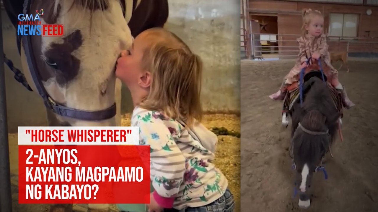 "Horse Whisperer" 2-anyos, kayang magpaamo ng k...