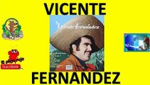 Vicente Fernandez exitos lo meor antaño minimix para ti