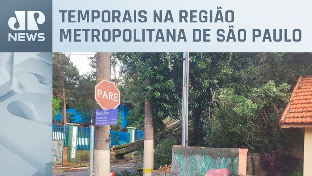 Mortos, árvores caídas e locais sem energia: As consequências das fortes chuvas em SP