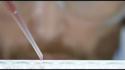 Dynamicom Education: La formazione è la nostra scommessa