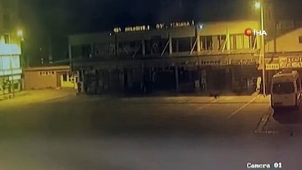 Kastamonu Cide'de Temizlik İşçisi Ayıyla Karşılaştı