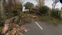 Devastating aftermath of Storm Ciaran in Jersey captured by drone