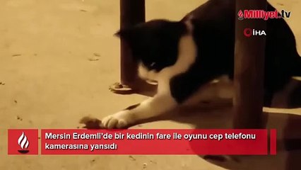 Görenler çok şaşırdı! Kedinin fare ile oyunu...