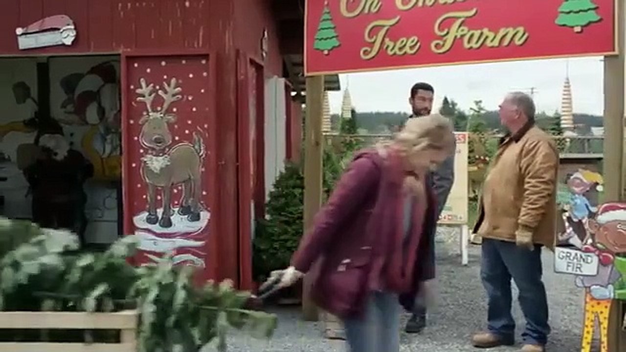Assistir A Bota de Natal ✓ Romance / Drama