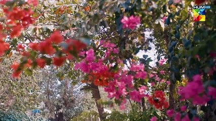 Aik Azmaish Khatam Dusri Shuru...! #nawalsaeed #noorhassan - Rang Badlay Zindagi - FLO Digital