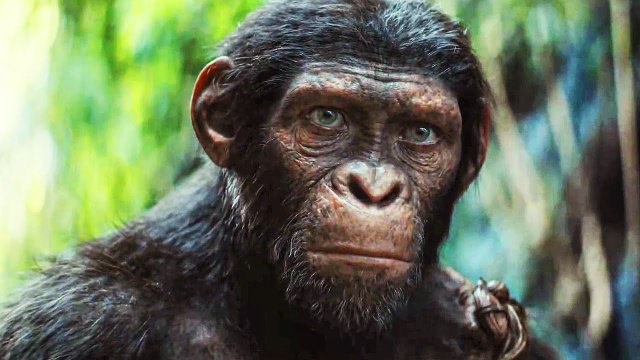 LA PLANÈTE DES SINGES : NOUVEAU ROYAUME Bande Annonce