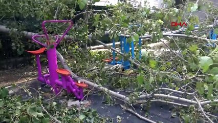 UN ARBRE TOMBE SUR 3 ENFANTS JOUANT DANS LE PARC D'AVCILAR