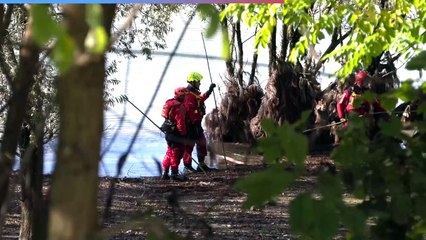 Video: Le ricerche a Belluno del vigile del fuoco disperso