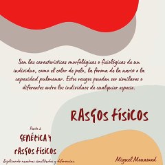 Miguel Mouawad- Algo extenso e interesante: