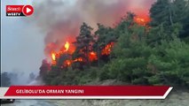 Çanakkale Gelibolu'da orman yangını