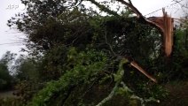 Tempesta Ciaran, strade bloccate e alberi abbattuti sulla costa francese della Manica