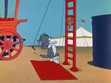 Tom and Jerry cartoon episode 145 - Jerry Go Round 1966 - Funny animals cartoons for kids