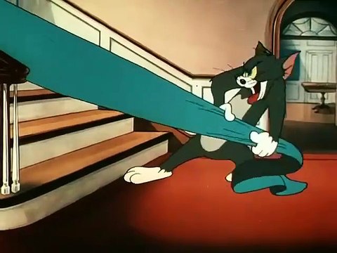 Tom and Jerry cartoon episode 159 - Shutter Bugged Cat 1967 - Funny animals cartoons for kids