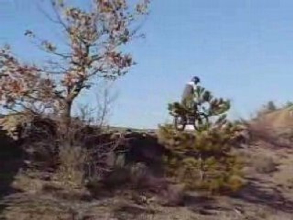 TRIAL CURBANS 2 (16)