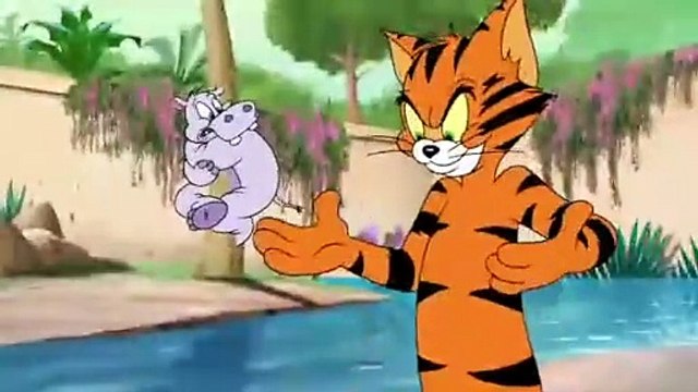 Tom and Jerry Tales S 01 E 01 B - TIGER CAT _LOOcaa_