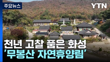 천년 고찰 품은 화성 '무봉산 자연휴양림'...수도권 힐링 명소 주목 / YTN