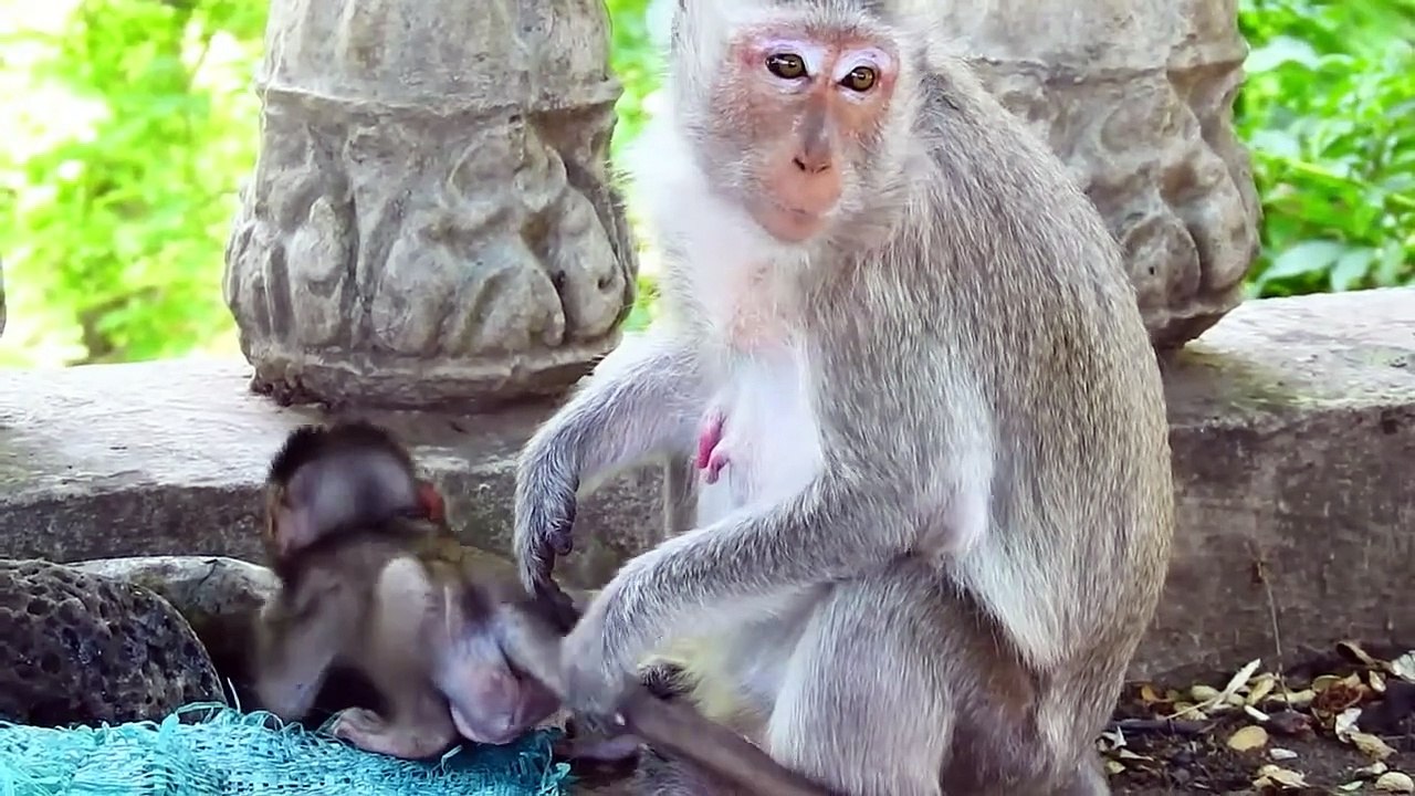Adorable Younger Mother Give Love Butt kiss to Her Tiny Baby