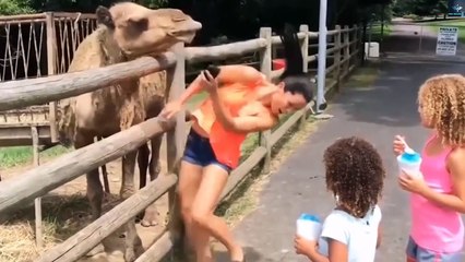 Ultimate Funny Moments & Comedians to Make You Laugh 🤣