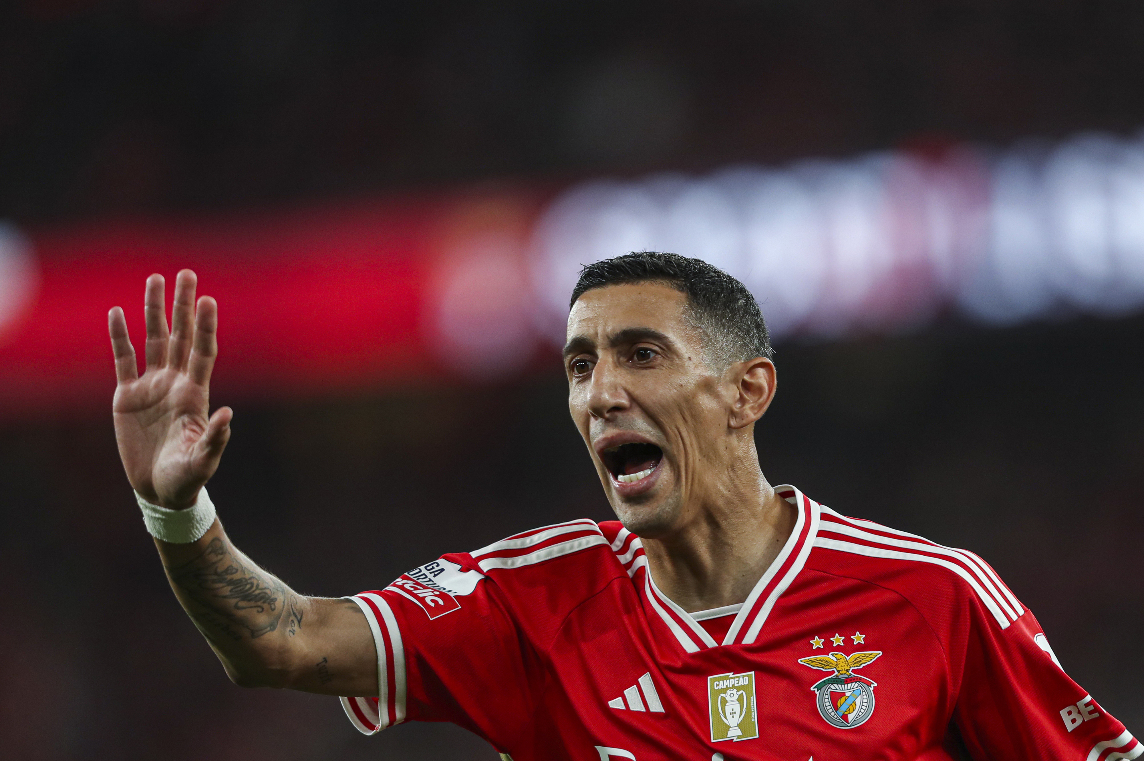 Liga Portugal : Benfica ne tremble pas à Chaves