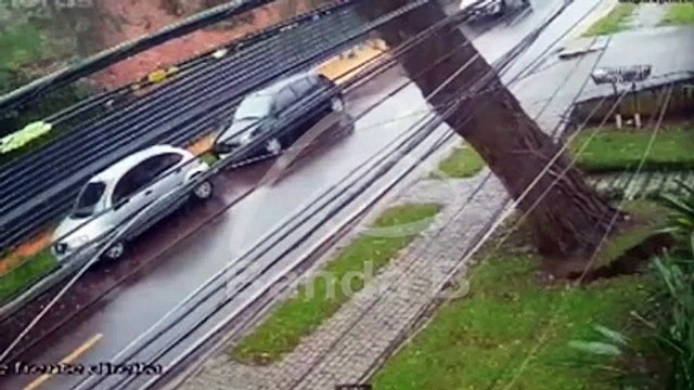 Vídeo mostra queda de árvore que atingiu dois carros no Bigorrilho