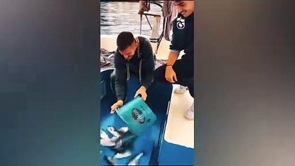 Maçtan önce mi çektiler? Trabzonspor, Dusan Tadic'in balık tutma videosunu bambaşka bir şekilde servis etti