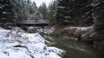 🎄 Must-Watch Hallmark Christmas Movies 2023 in Stunning HD!