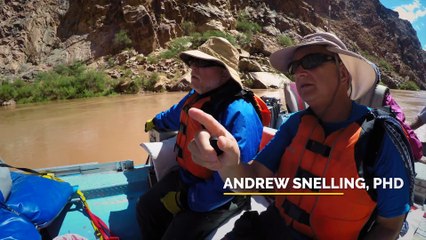 Is Genesis History? Mountains After the Flood | movie | 2023 | Official Featurette