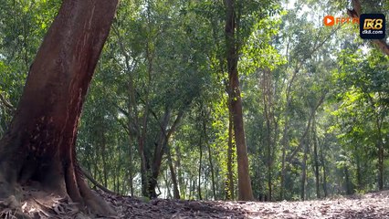 Chuyện Tình Biển Xanh Tập 14