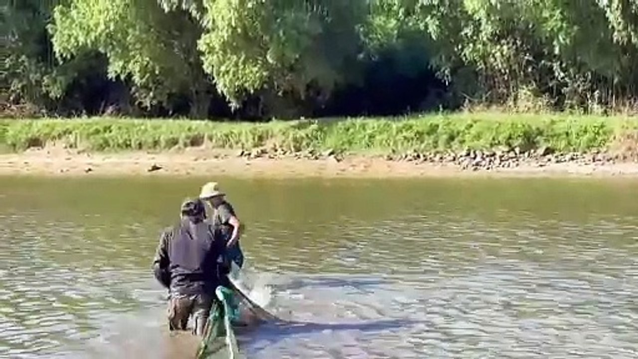 Một nông dân Quảng Bình kéo lưới bắt cả tấn loại cá giàu canxi, tốt cho xương khớp, thu gần 300 triệu